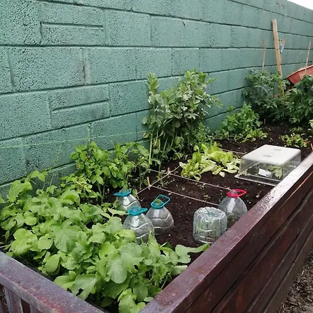 Cosy With Organic Garden Athenry