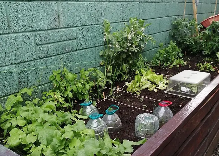 Cosy With Organic Garden Athenry